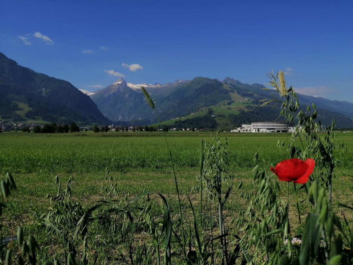 Alm Appartements Zellamsee Zell am See Eksteriør bilde